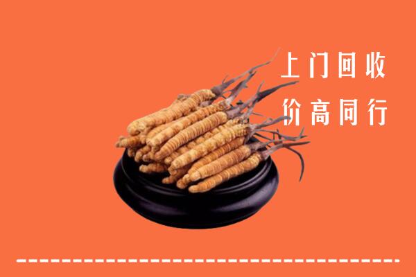 高价求购：杭州市拱墅区回收散虫草
