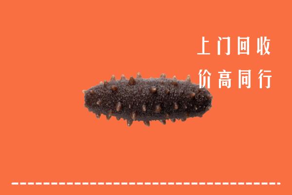高价求购：杭州市拱墅区回收海参