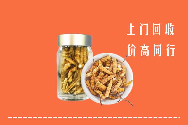 杭州市拱墅区回收冬虫夏草