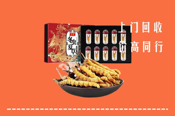 杭州市拱墅区回收虫草